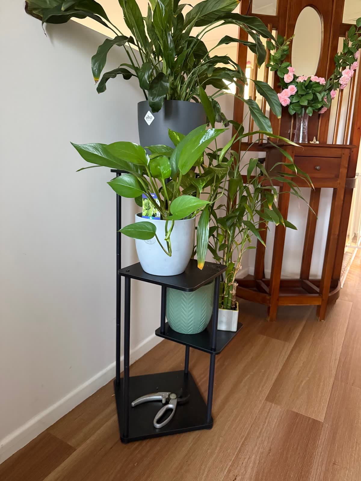 Plant Stand with Plants photo 3